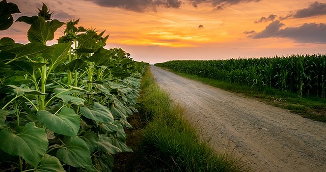 agriculture-g1934b5f82_640