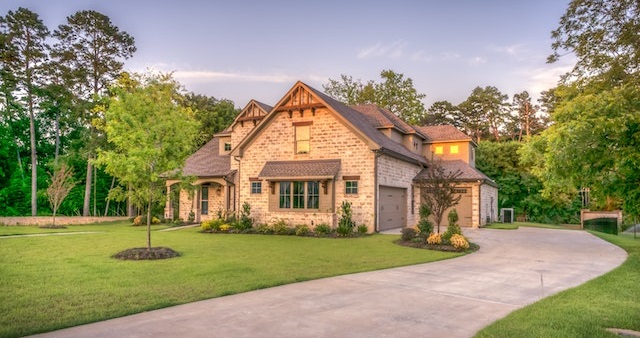 pexels-pixabay-259588 (2)