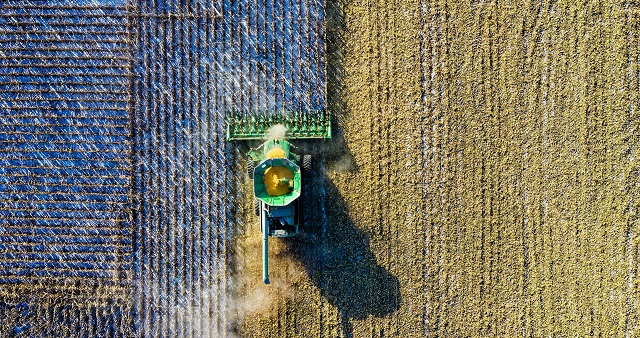 pexels-tom-fisk-1595108